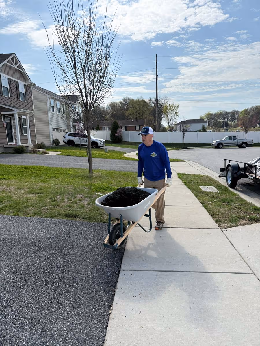 Man in blue shirt and cap pushing wheelbarrow full of dark mulch on a sidewalk in a suburban neighborhood.