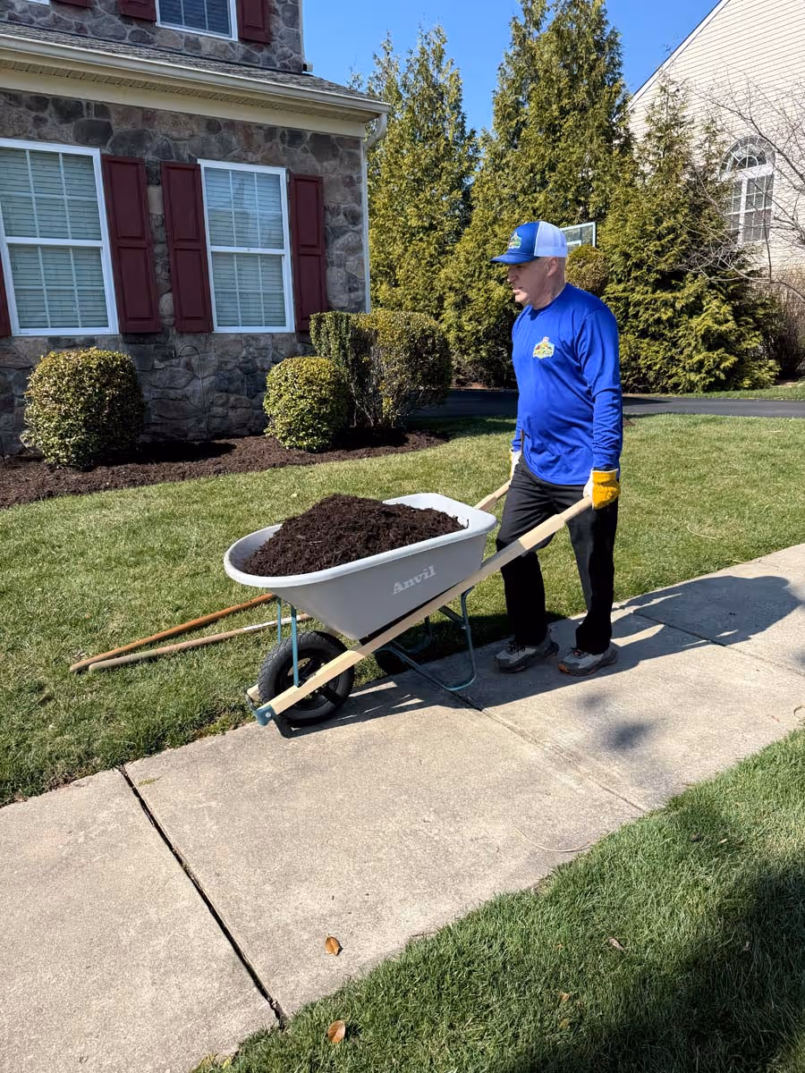 Man pushing a wheelbarrow full of mulch along a sidewalk next to a house with landscaped bushes and lawn.