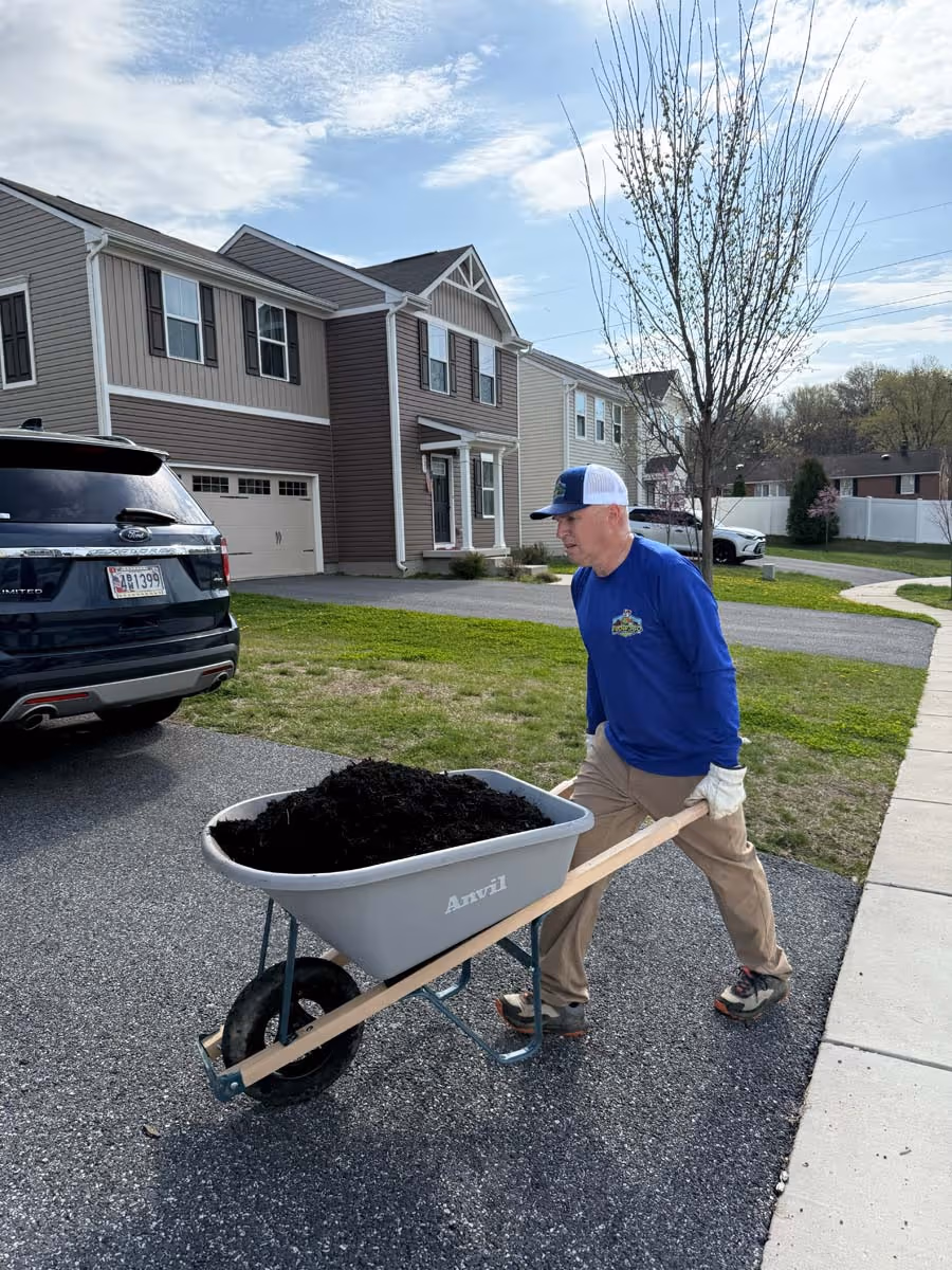 Man in blue shirt and cap pushing a gray Anvil wheelbarrow filled with dark mulch on a driveway in a suburban neighborhood.