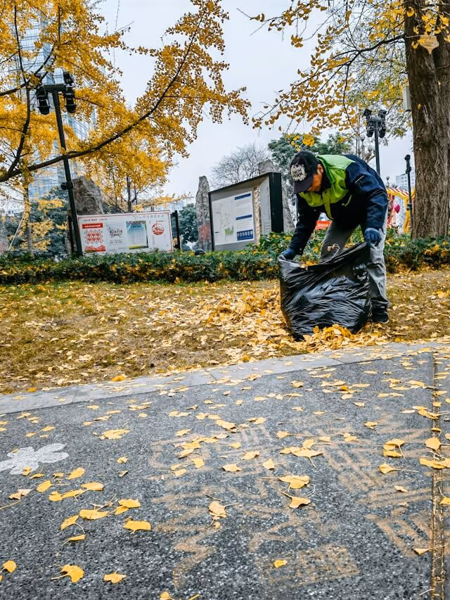 Person wearing a green and blue jacket collecting yellow autumn leaves into a large black trash bag in a park with trees and informational boards in the background.